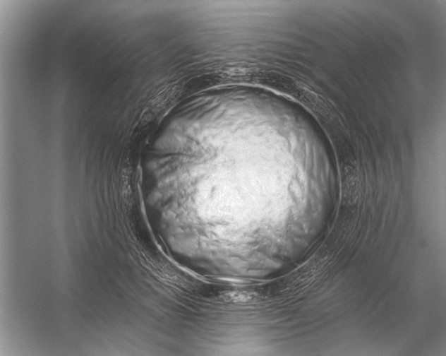 X0000056360654200509161829