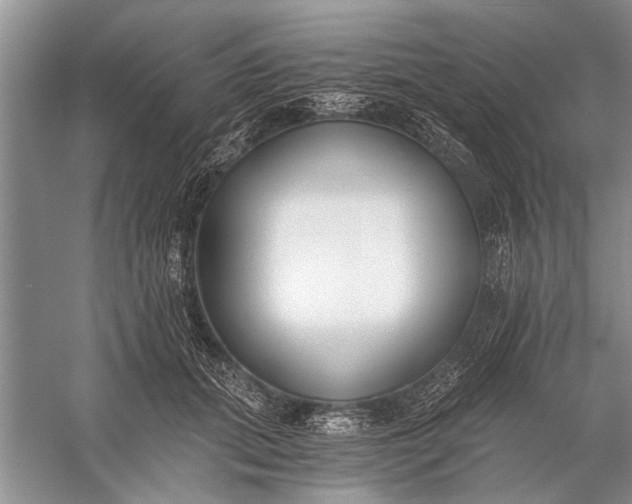 X0000056360655200509161829