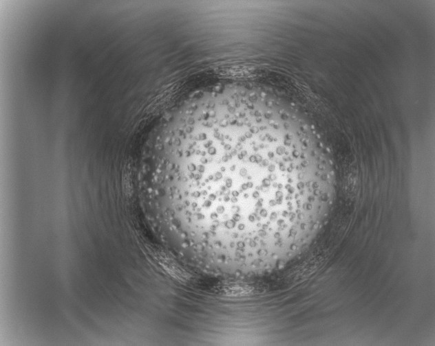 X0000056360658200509161829