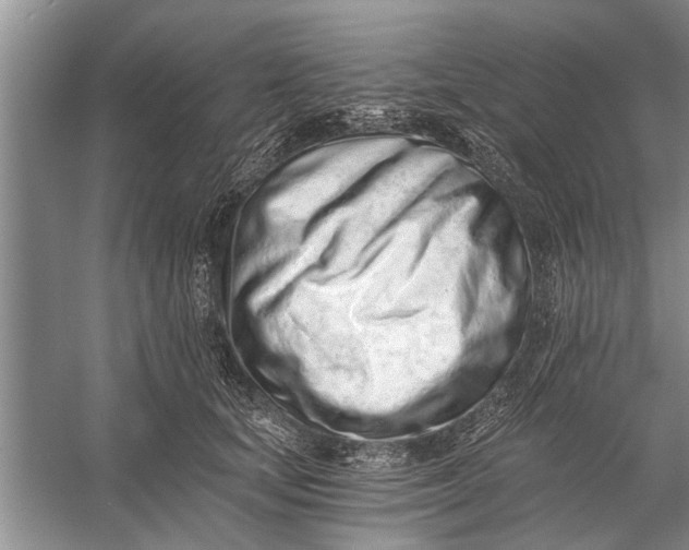 X0000056360659200509161829