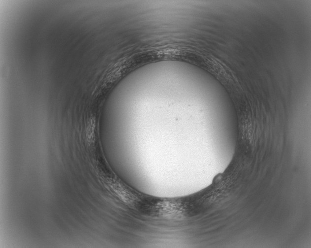 X0000056360660200509161829