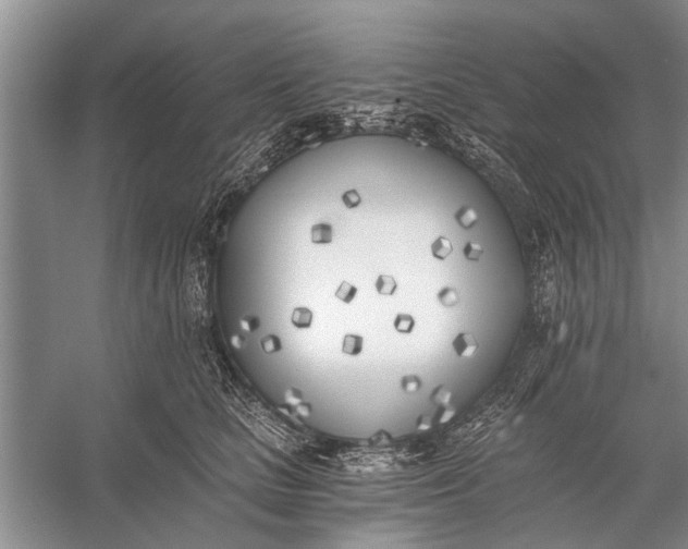 X0000056360661200509161829