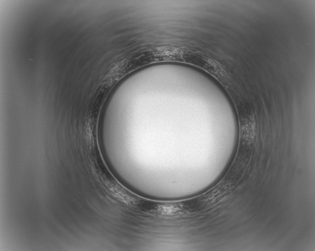 X0000056360662200509161829