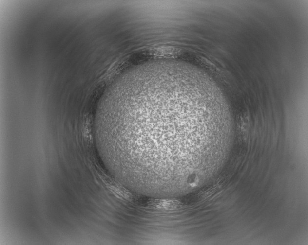 X0000056360663200509161829