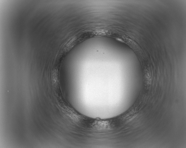 X0000056360665200509161829