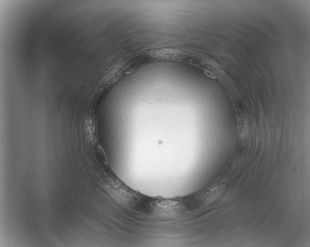 X0000056360669200509161830