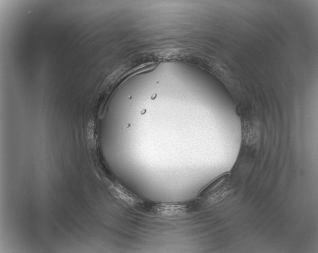 X0000056360670200509161830