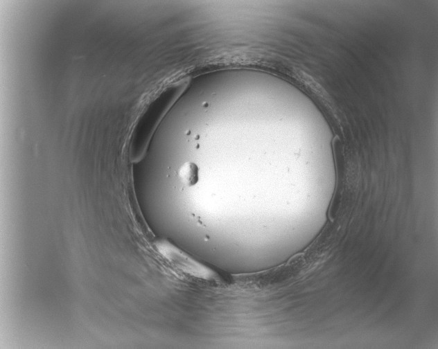 X0000056360673200509161829