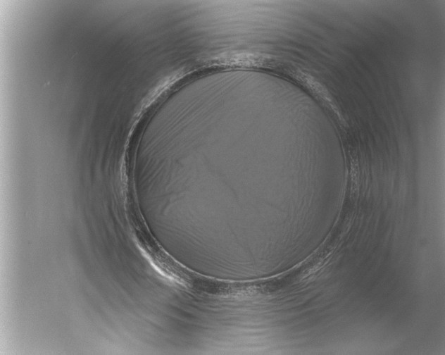 X0000056360674200509161829