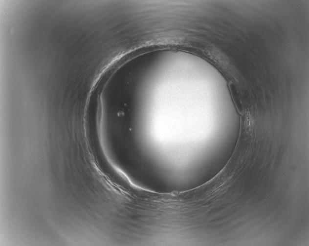 X0000056360676200509161829