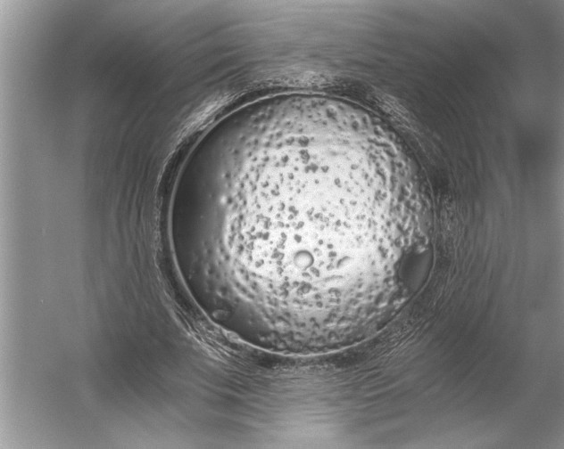 X0000056360679200509161829