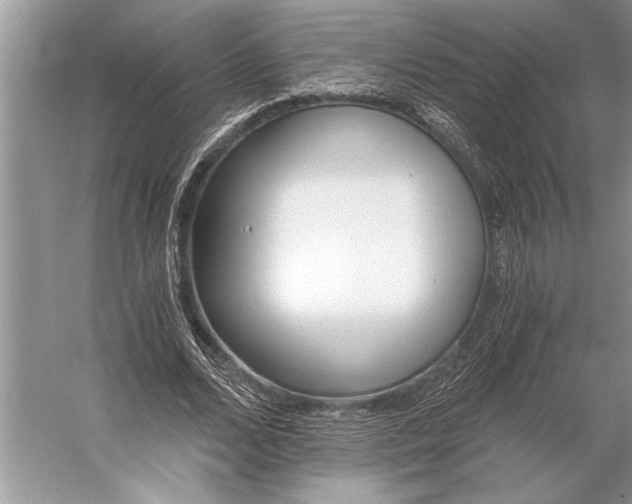 X0000056360680200509161829