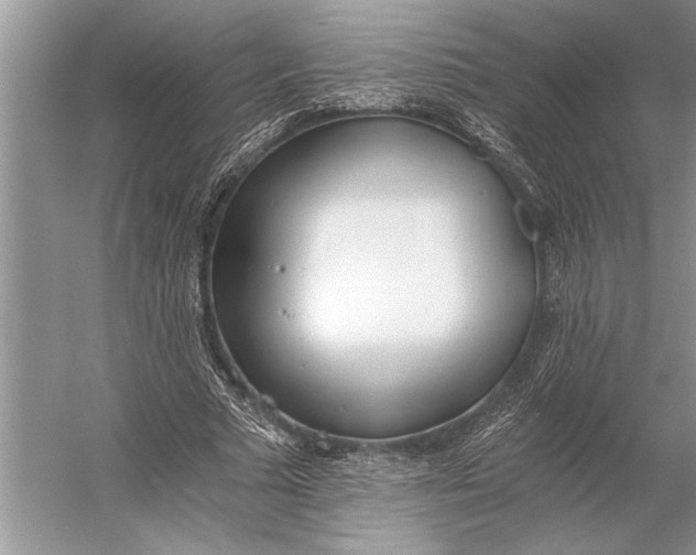 X0000056360681200509161829