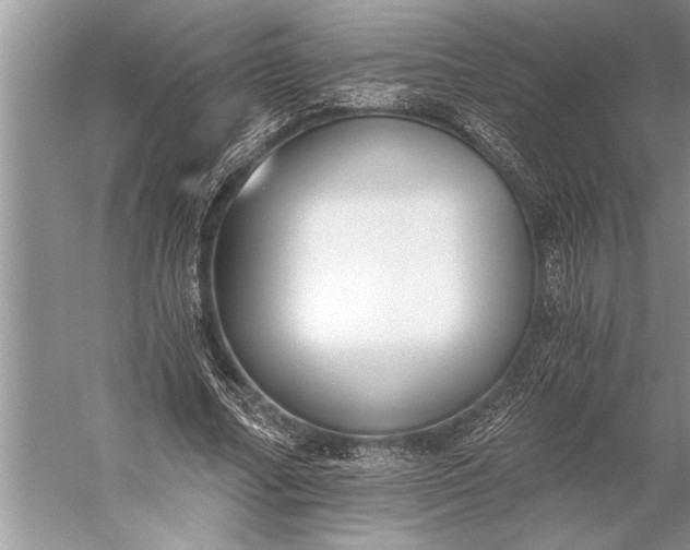 X0000056360682200509161829