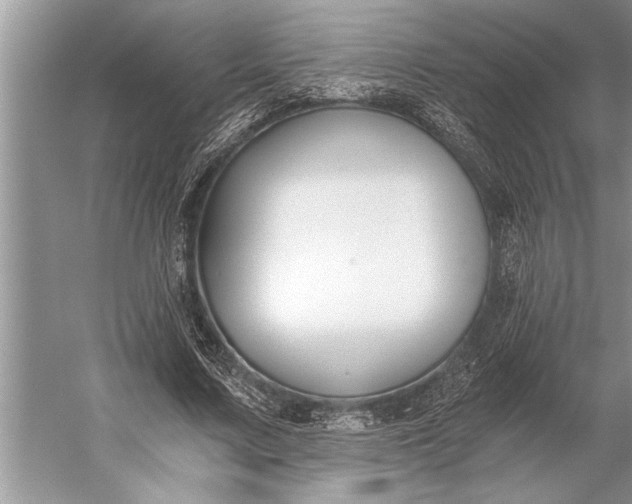 X0000056360683200509161829