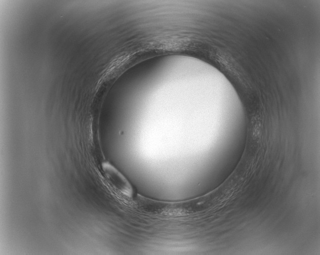 X0000056360685200509161829