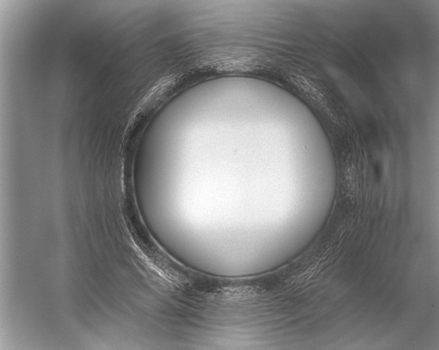 X0000056360686200509161829