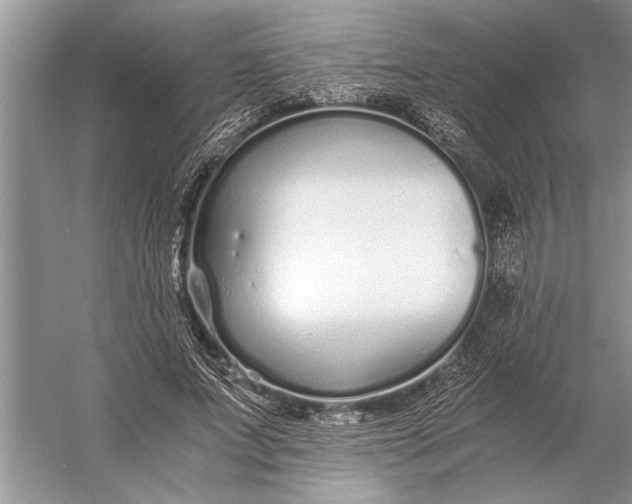 X0000056360687200509161829