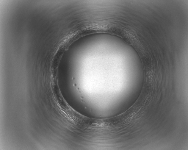 X0000056360688200509161829