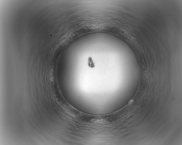 X0000056360689200509161829