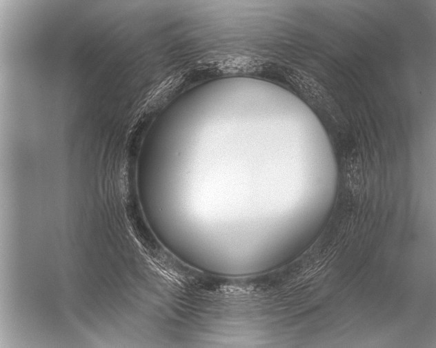 X0000056360690200509161828