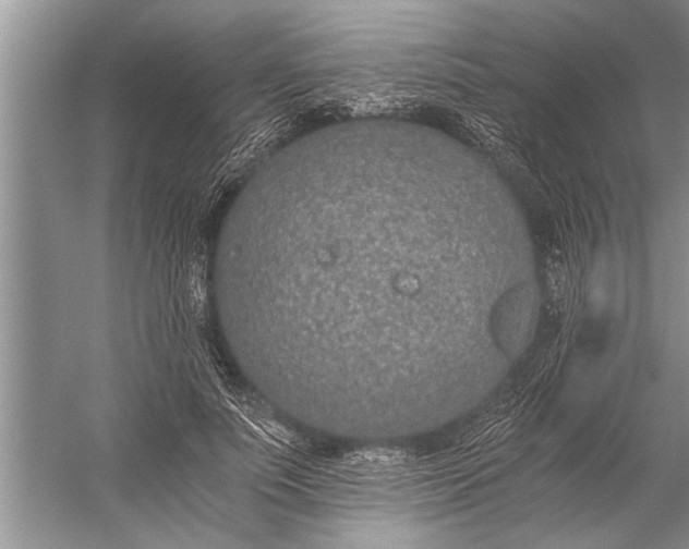 X0000056360691200509161828