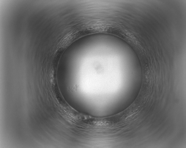 X0000056360693200509161828