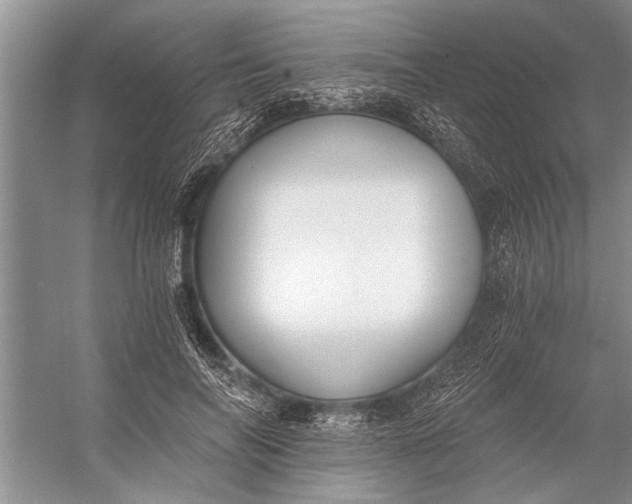 X0000056360694200509161828