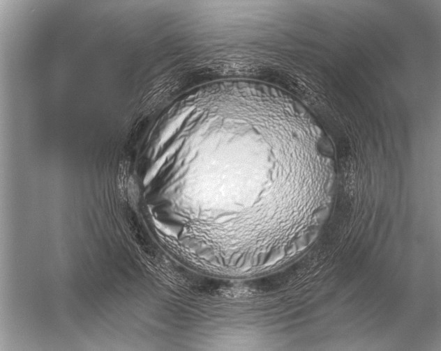 X0000056360695200509161828