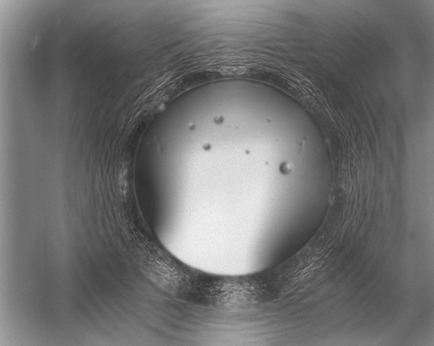 X0000056360697200509161828