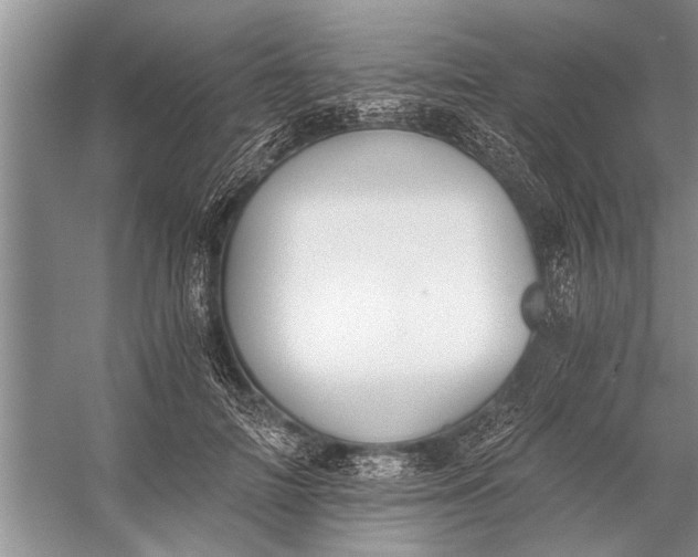 X0000056360698200509161828