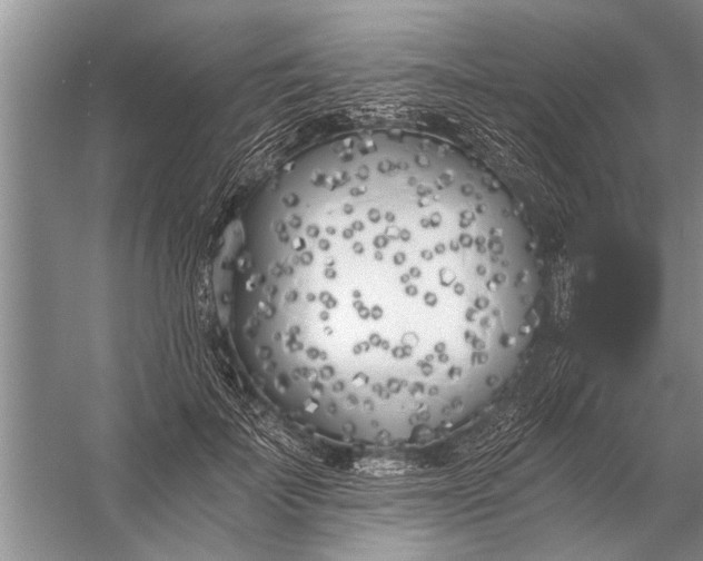 X0000056360699200509161828