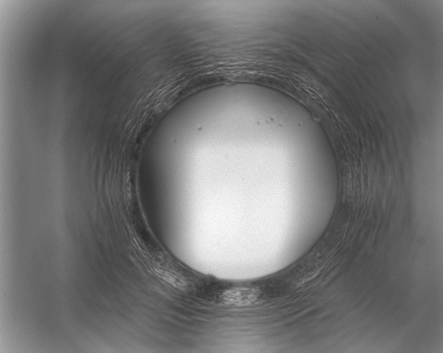 X0000056360700200509161828