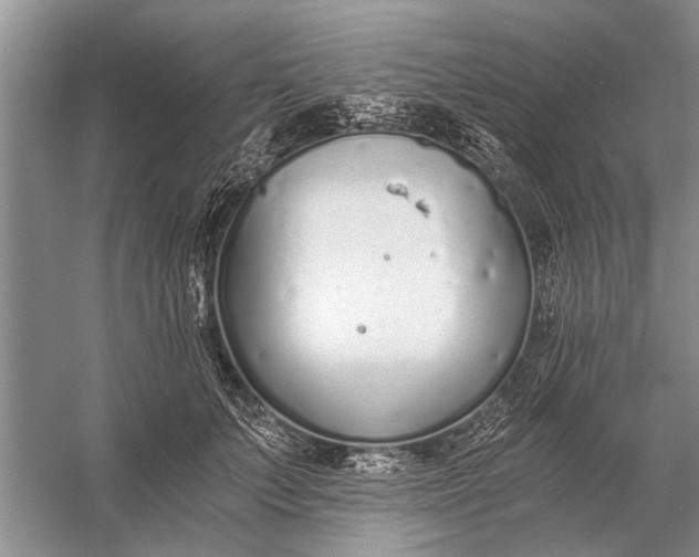 X0000056360703200509161828