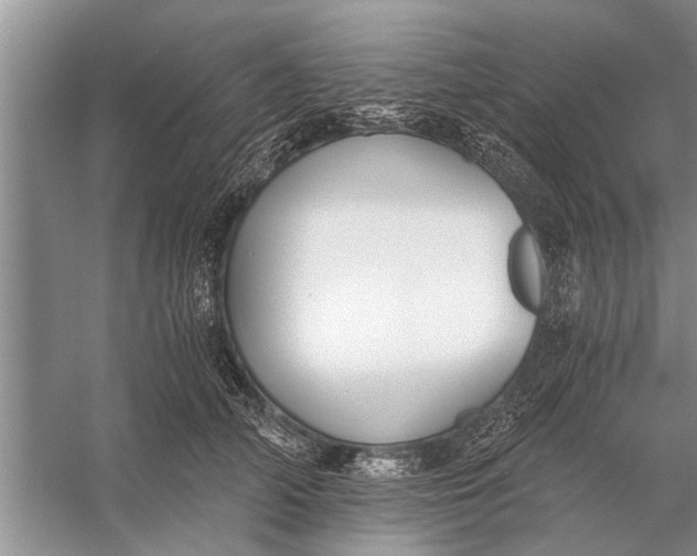 X0000056360706200509161828