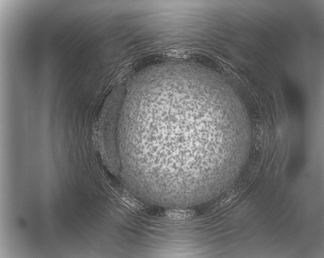 X0000056360707200509161828