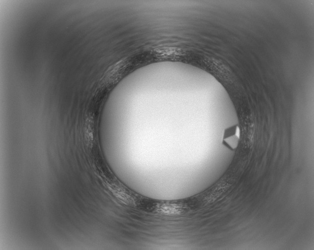 X0000056360710200509161828