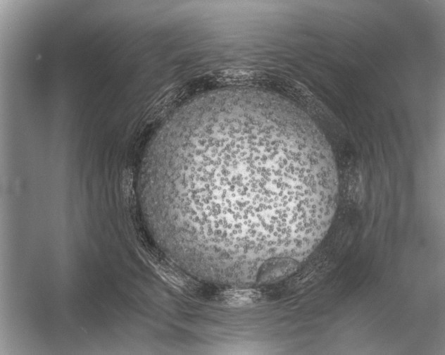 X0000056360711200509161828