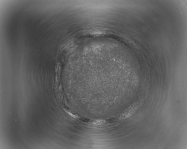 X0000056360720200509161828