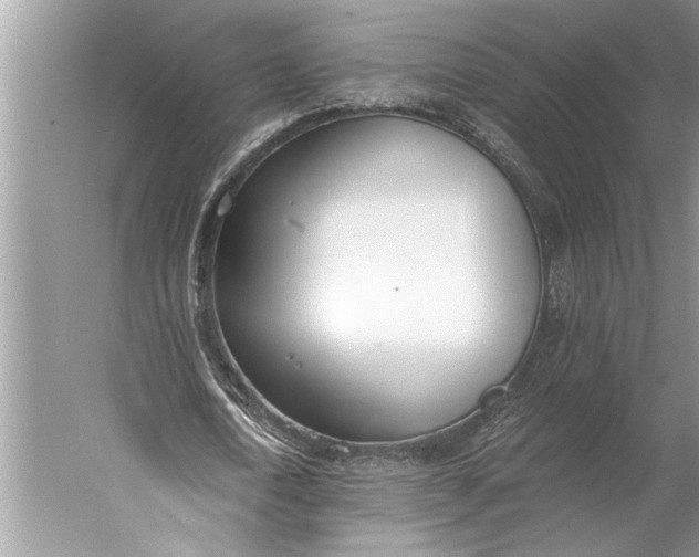 X0000056360722200509161827