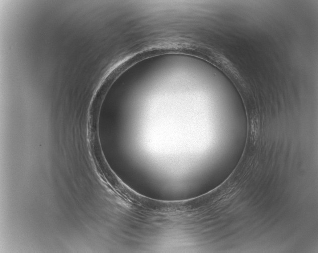 X0000056360724200509161827