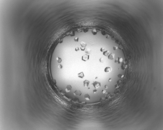 X0000056360725200509161827