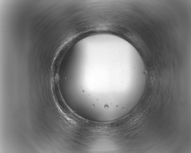 X0000056360728200509161827