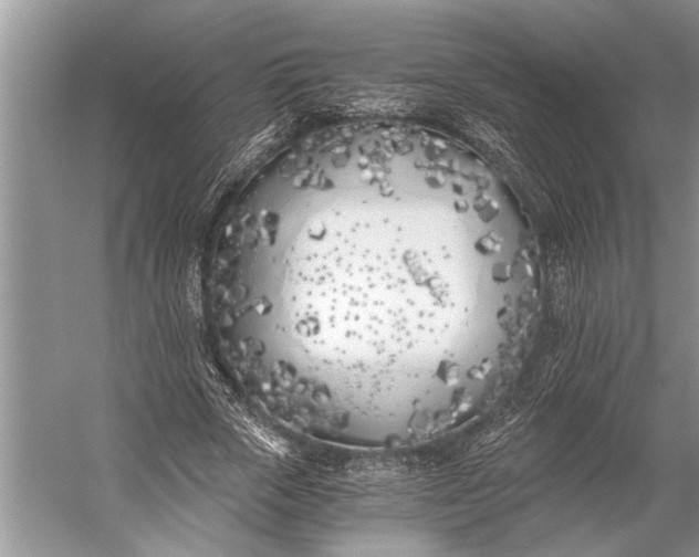 X0000056360729200509161827