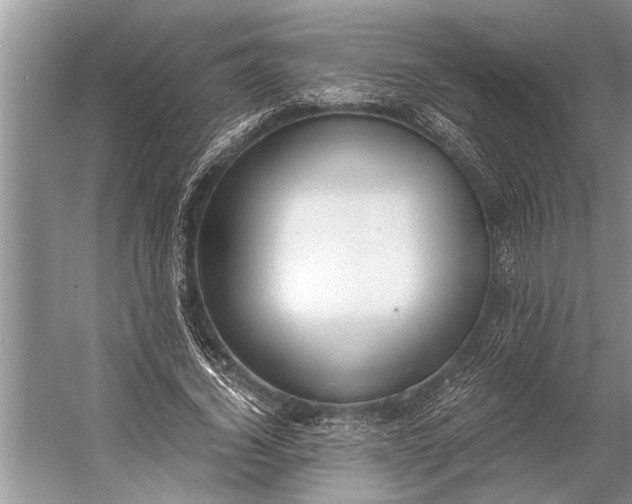 X0000056360732200509161827