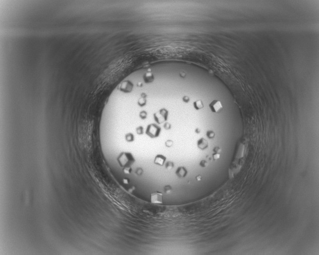 X0000056360742200509161828