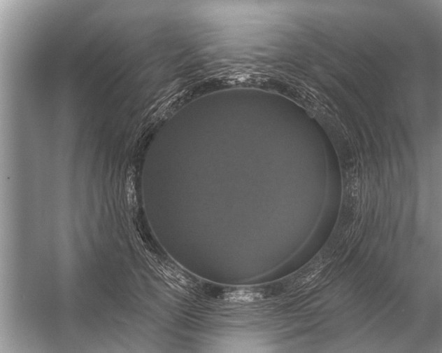 X0000056360754200509161828