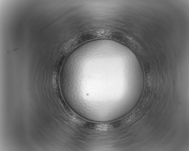 X0000056360757200509161828