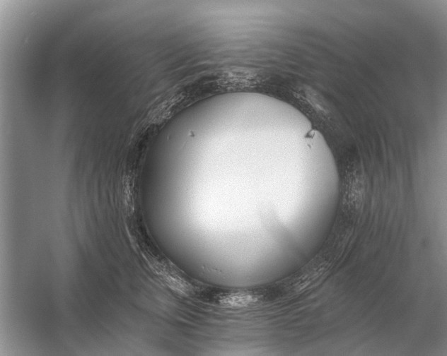 X0000056360759200509161828