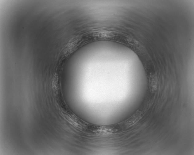 X0000056360760200509161828